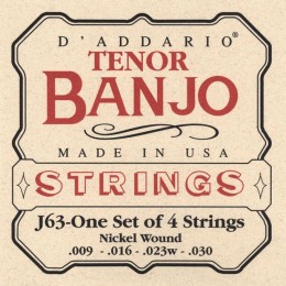Struny pro banjo D'Addario  EJ63
